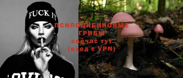 PSILOCYBIN Бронницы