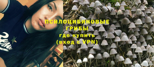 PSILOCYBIN Бронницы