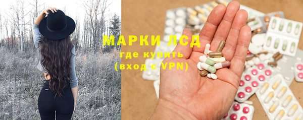 PSILOCYBIN Бронницы