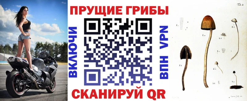 сайты даркнета наркотические препараты  наркошоп  Сочи  Псилоцибиновые грибы Psilocybe 